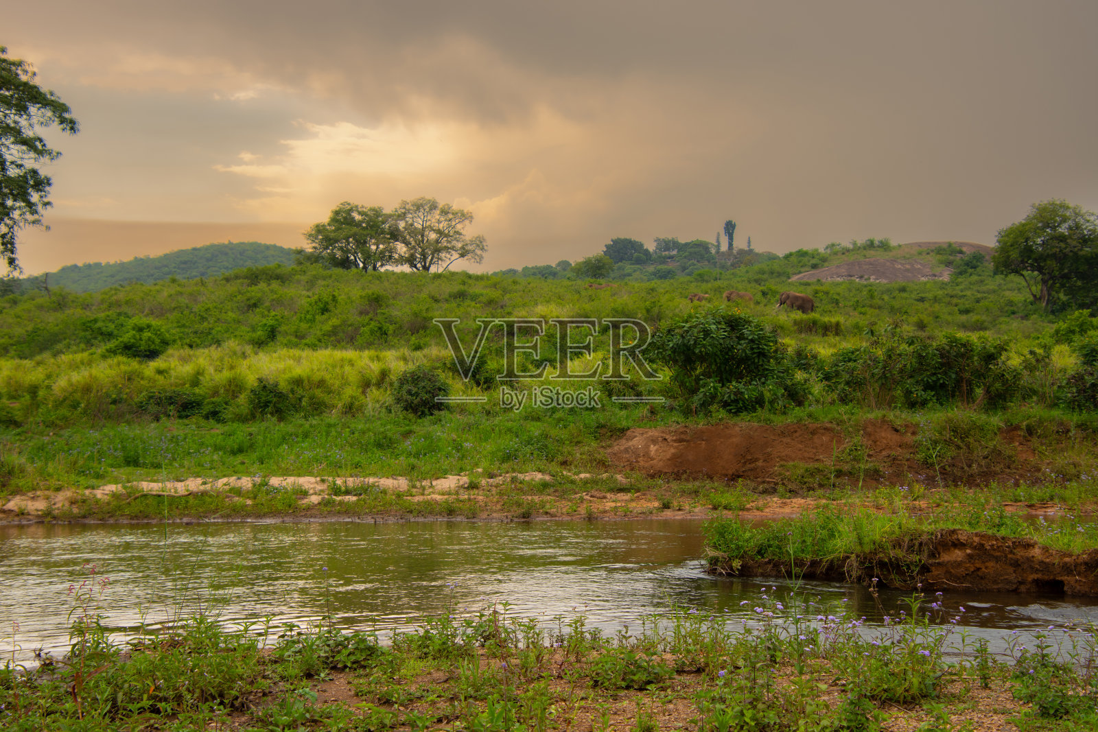 漂亮的小河穿过大草原照片摄影图片