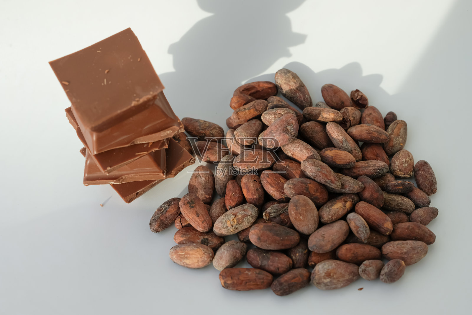 可可豆。牛奶巧克力。白色背景。照片摄影图片