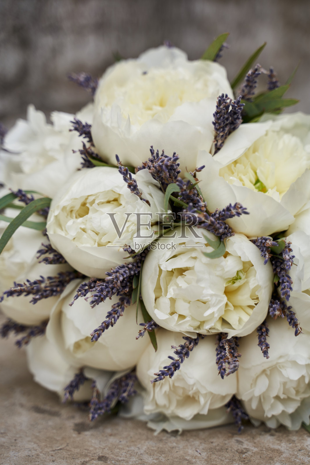精致的婚礼花束大白色牡丹和薰衣草照片摄影图片
