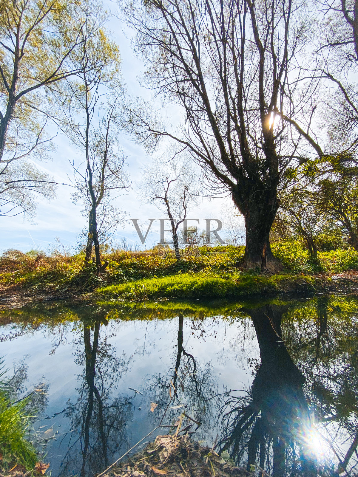 一个秋天照片摄影图片