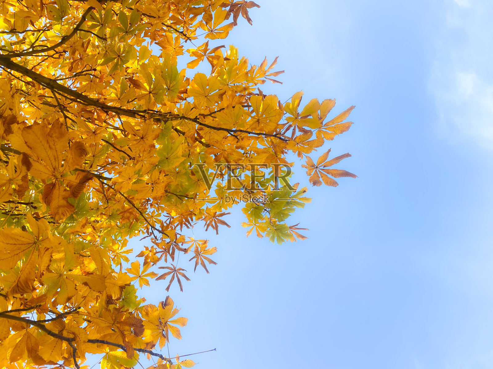 一个秋天照片摄影图片