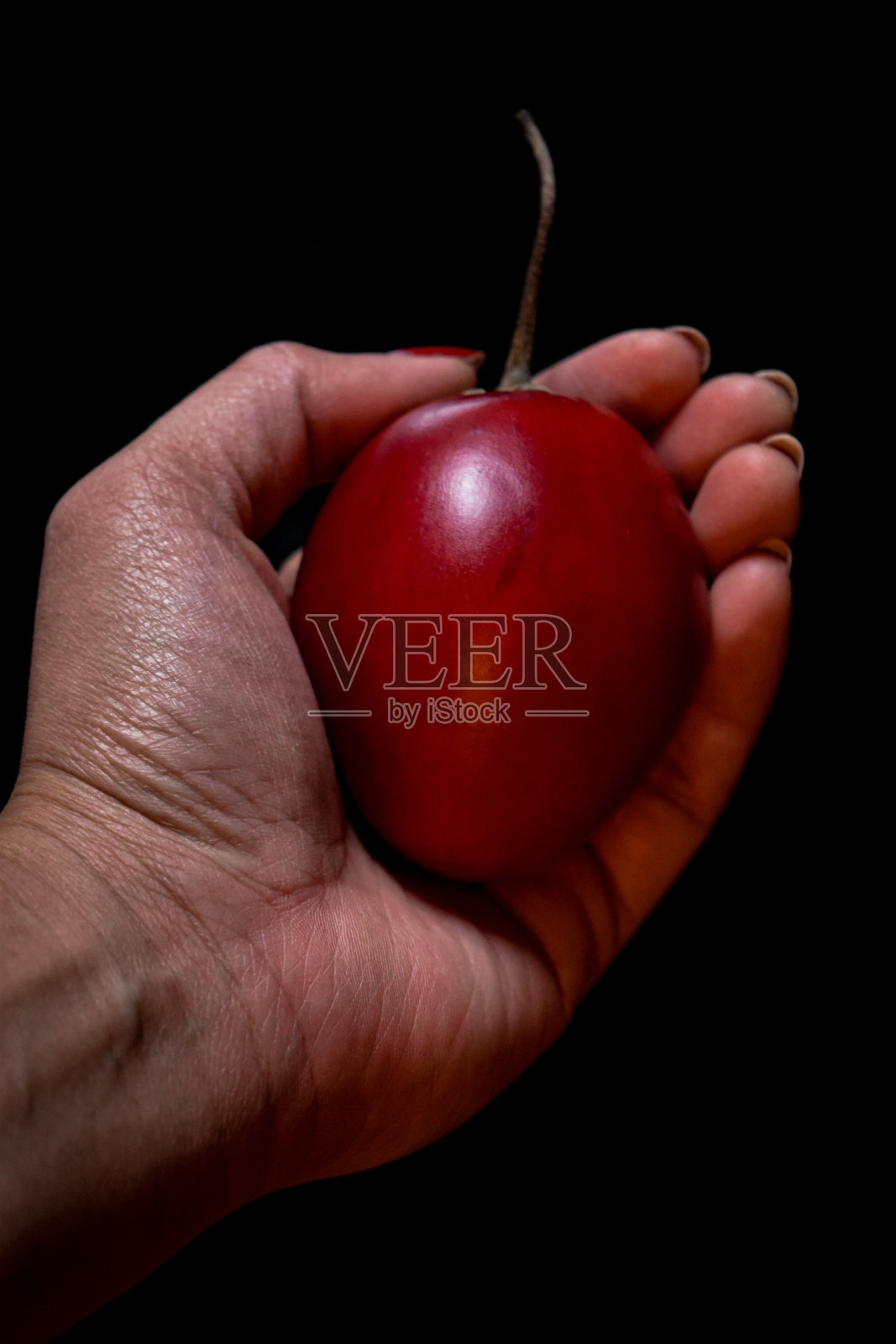 番茄照片摄影图片