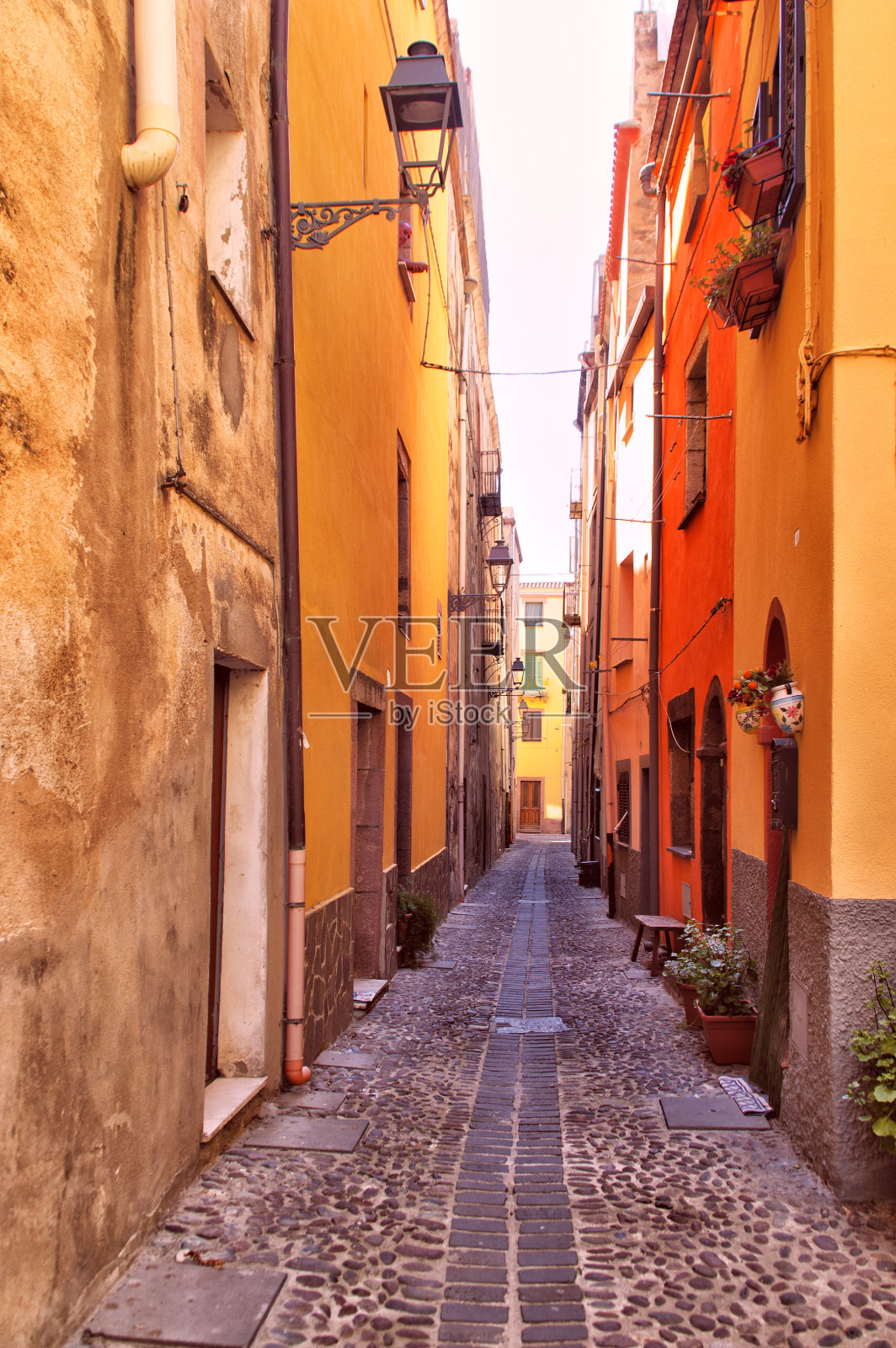 11580街道照片摄影图片