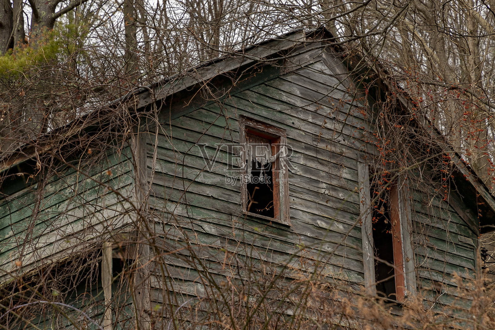 特拉华水口国家娱乐区老矿路旁一栋废弃房屋的窗户上挂着破烂的窗帘照片摄影图片