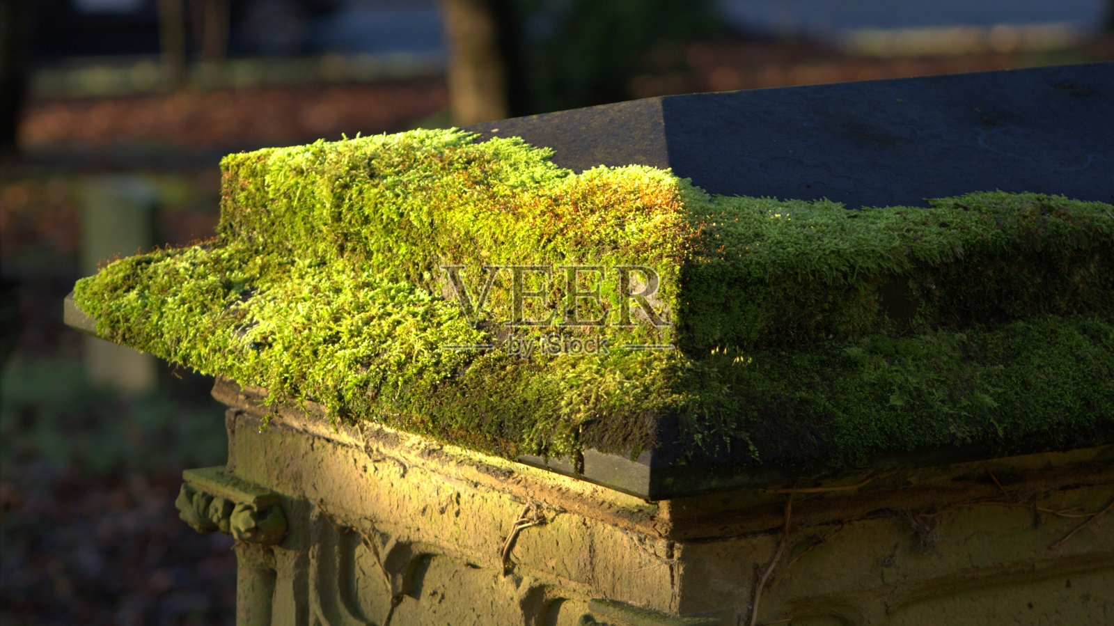 英国的冬天照片摄影图片