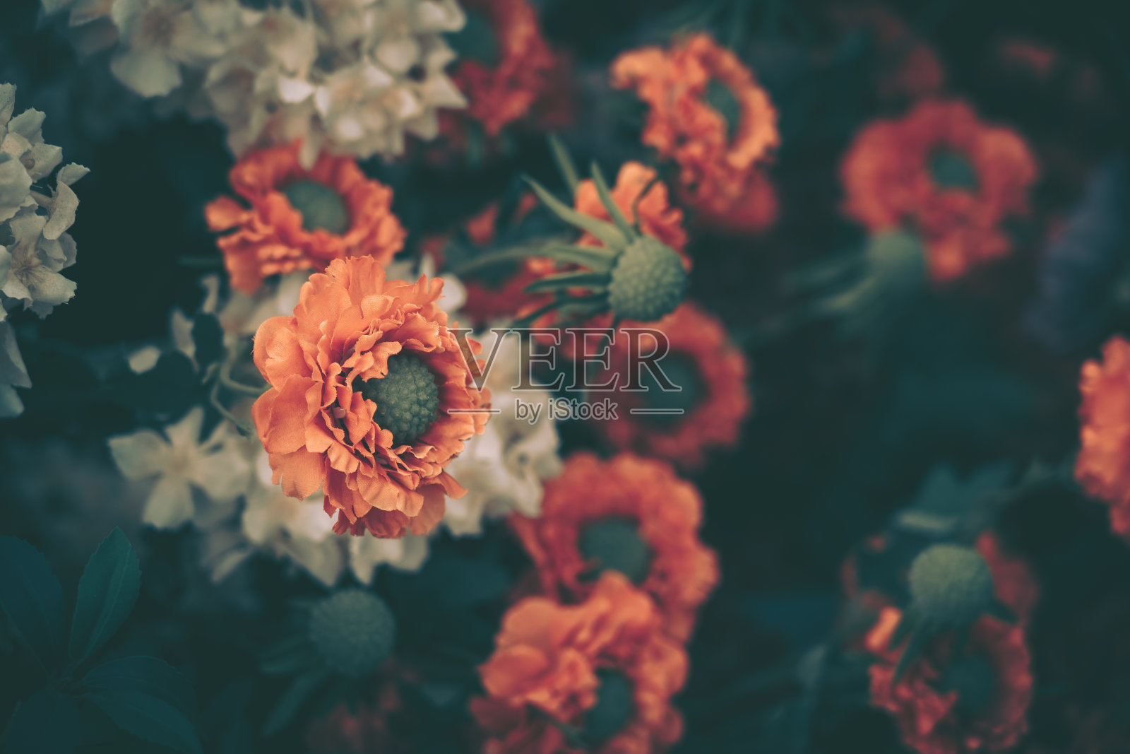 美丽的人造玫瑰背景，复古风格;照片摄影图片