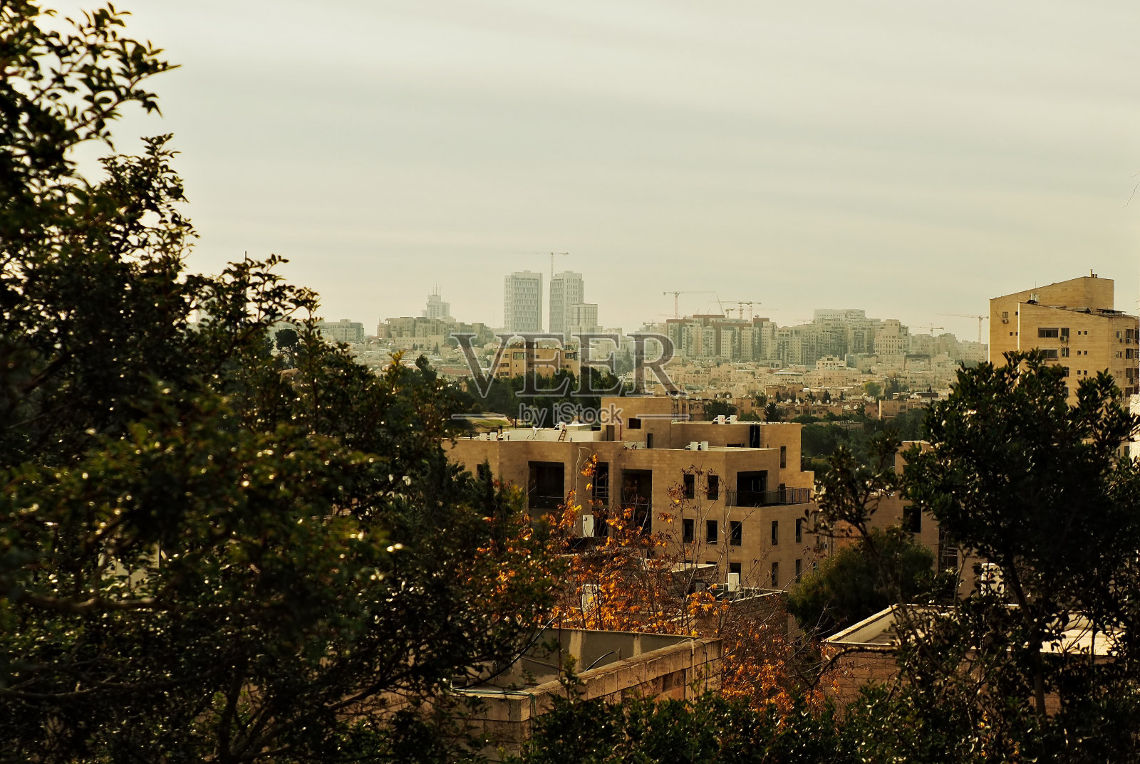 西耶路撒冷基因照片摄影图片
