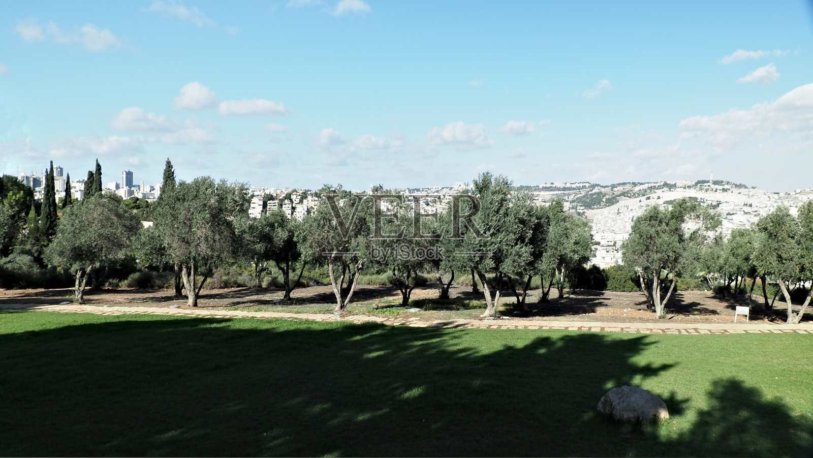 绿色和蓝色照片摄影图片