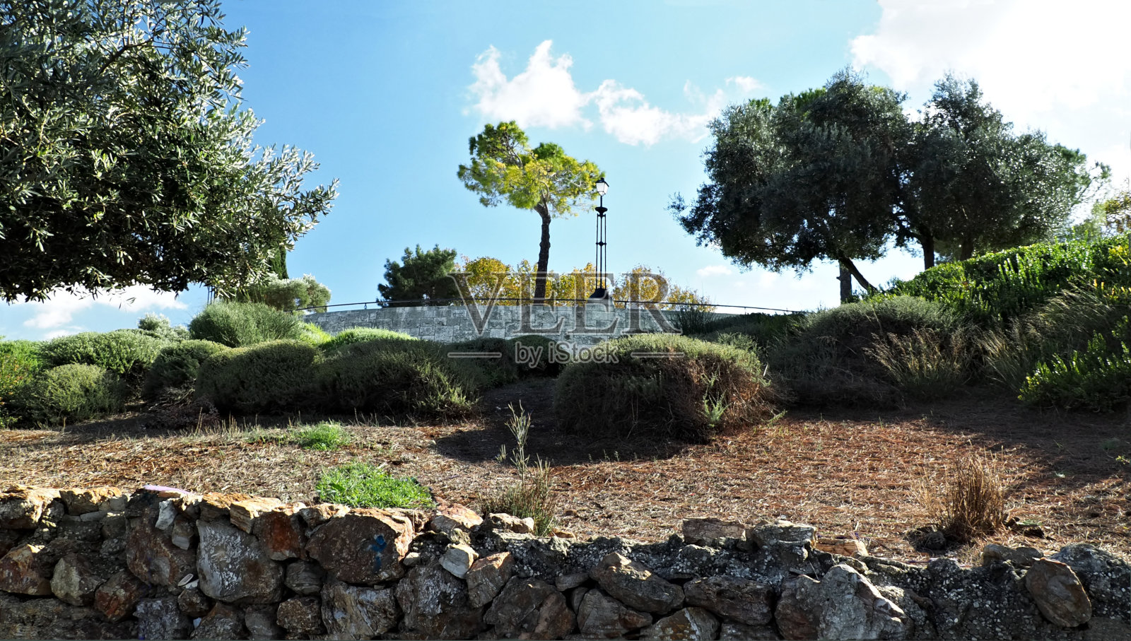 云骆驼照片摄影图片