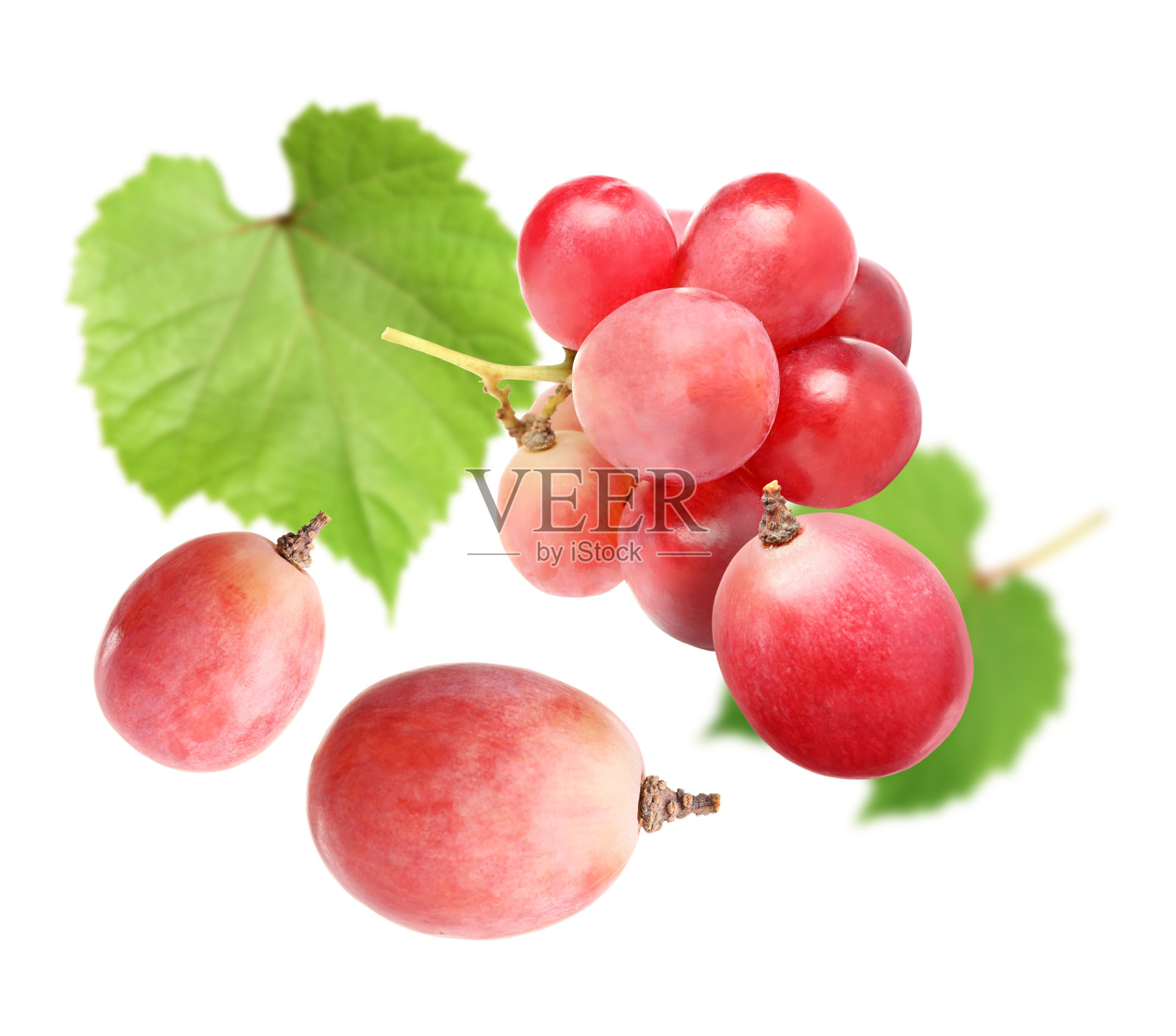 新鲜的葡萄和绿叶落在白色的背景上照片摄影图片