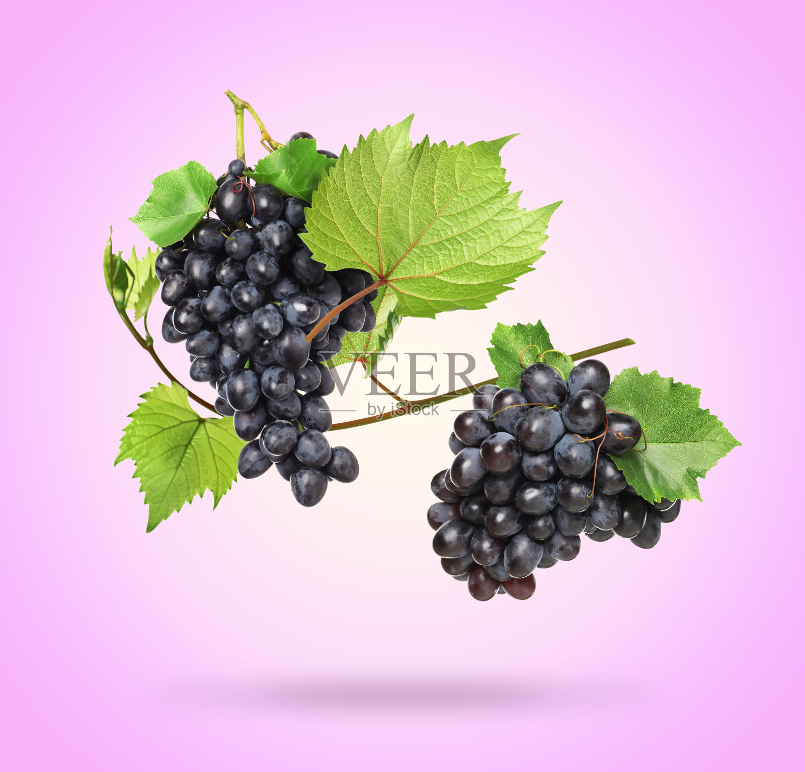 美味的新鲜葡萄和绿叶落在紫色的背景照片摄影图片