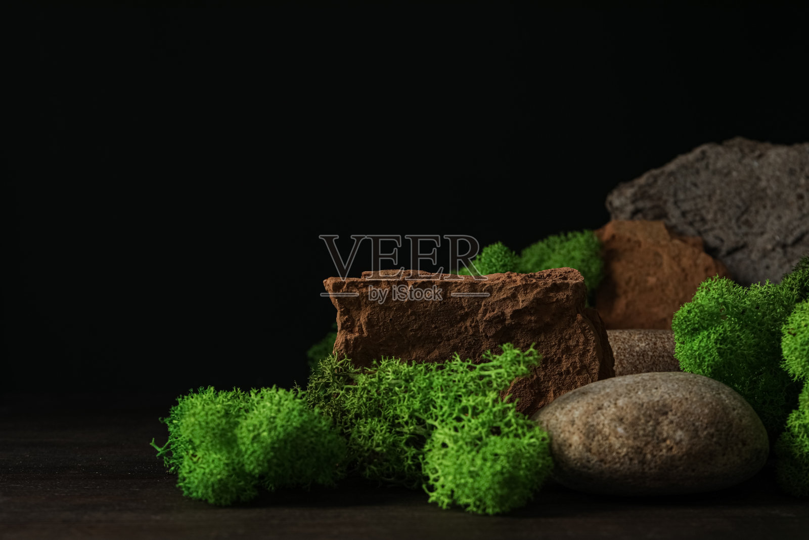 苔藓，文字的空间，不同背景的概念照片摄影图片