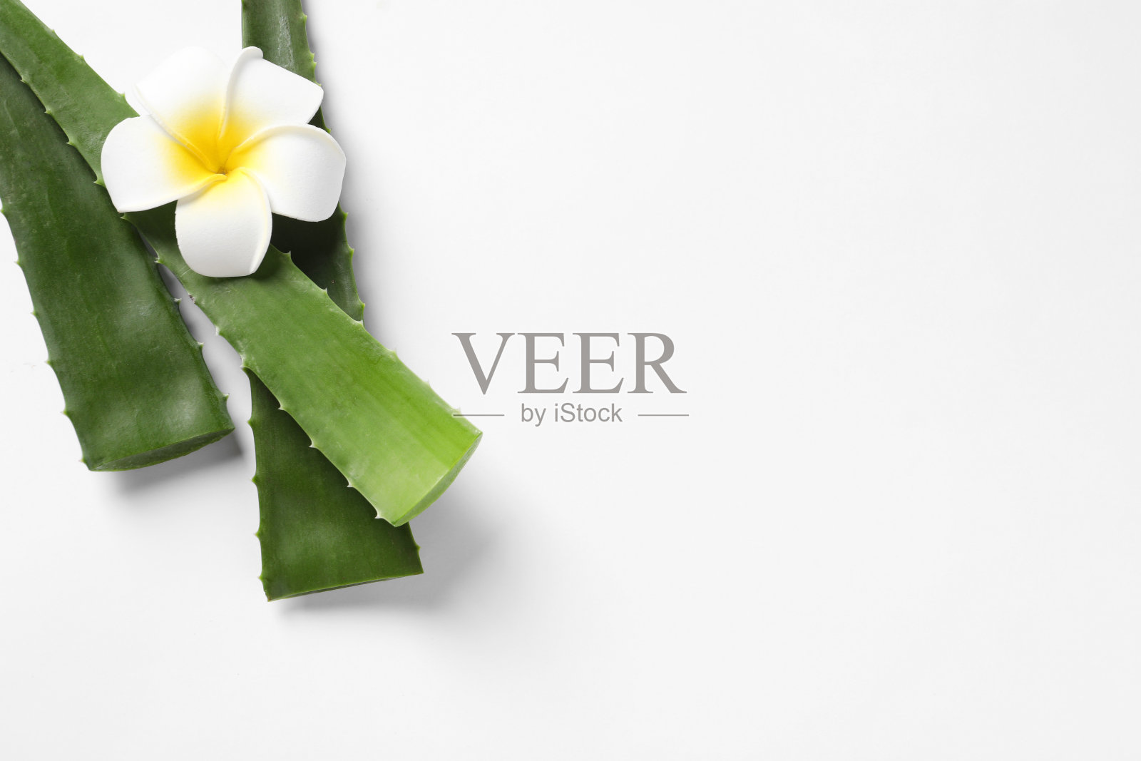 绿色的芦荟叶和鸡蛋花在白色的背景上，平躺着。文本空间照片摄影图片