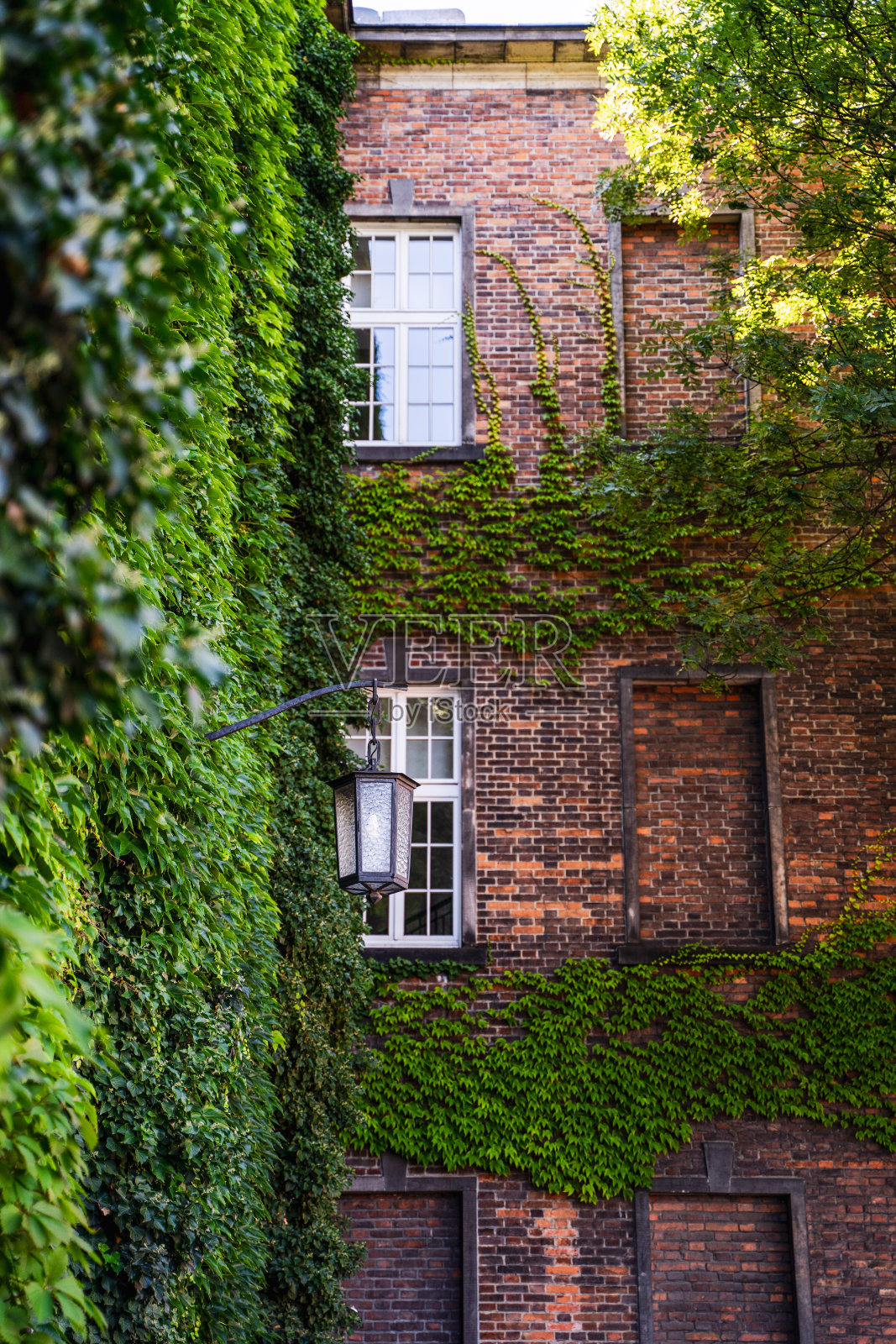 中世纪建筑，墙壁和路灯上装饰着植物照片摄影图片