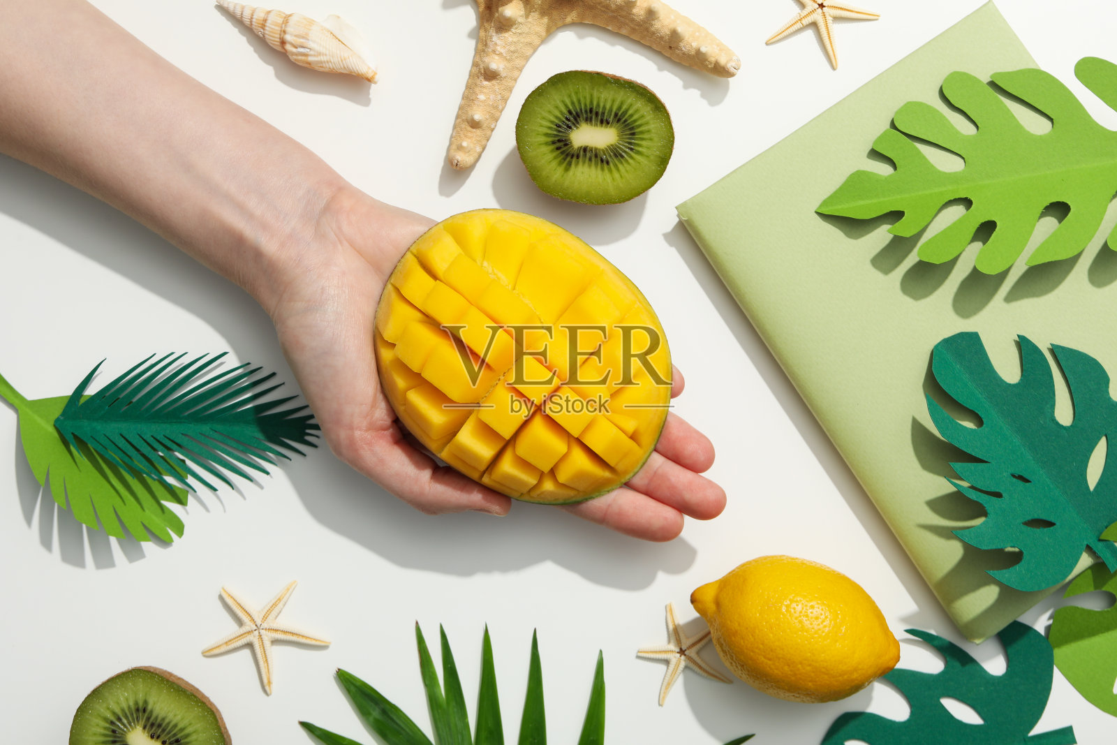 夏天的时光让人联想到夏天的假期和休息照片摄影图片