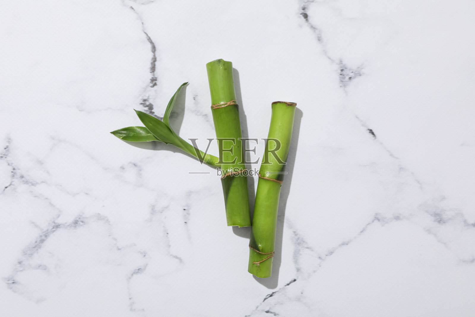 热带和夏季植物的概念-竹子照片摄影图片