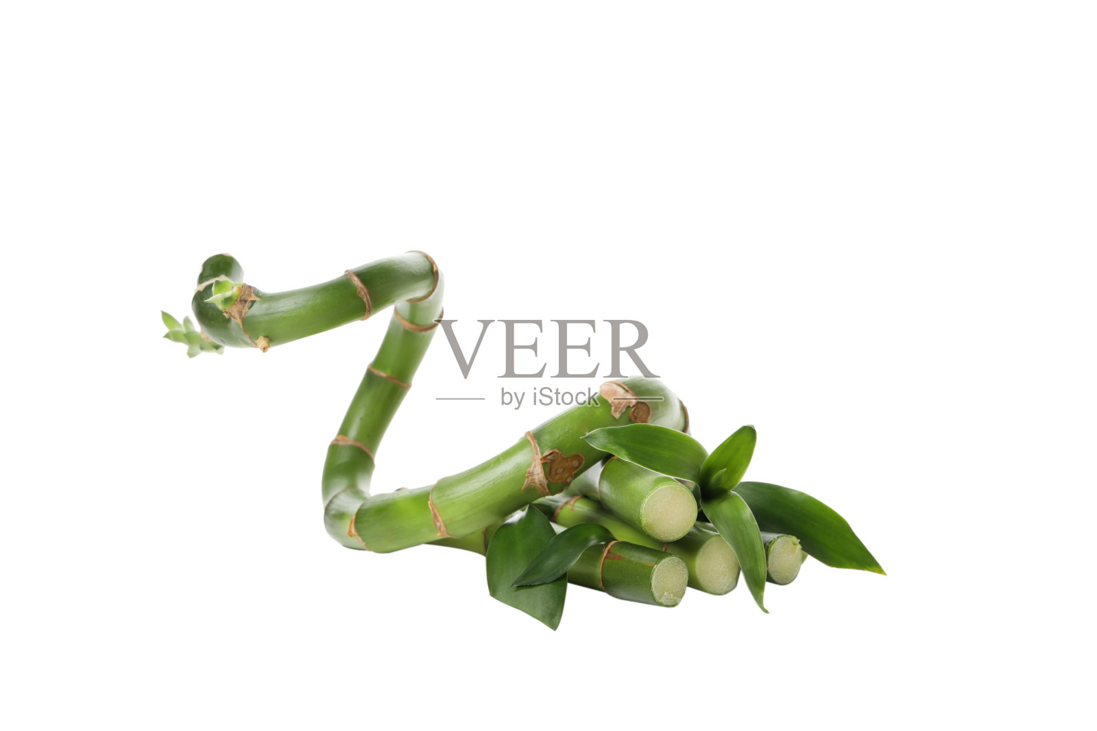 PNG，植物概念-竹子，孤立在白色背景上照片摄影图片