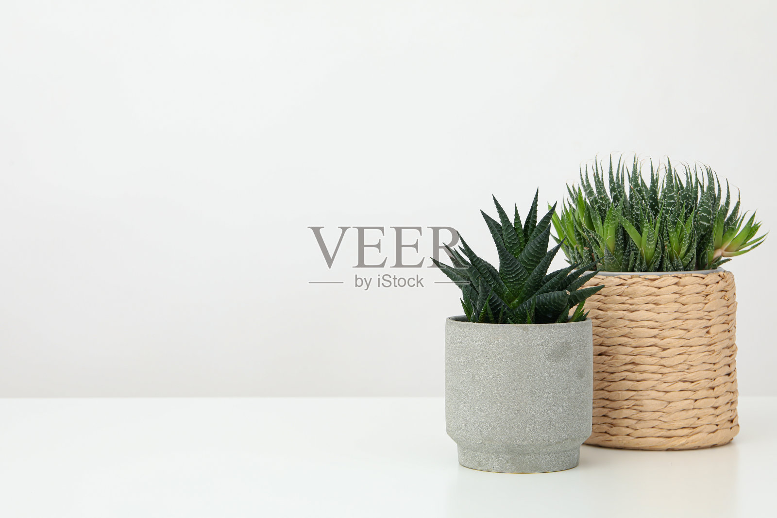 桌子上有两个花盆，留出文字空间照片摄影图片