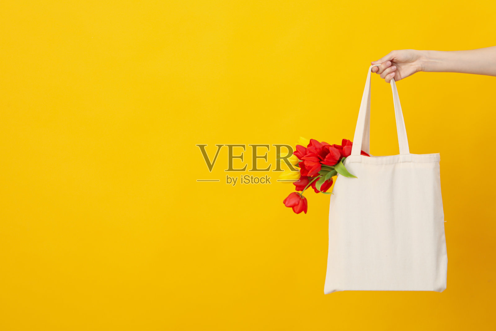 购物者手里拿着黄色背景的郁金香照片摄影图片