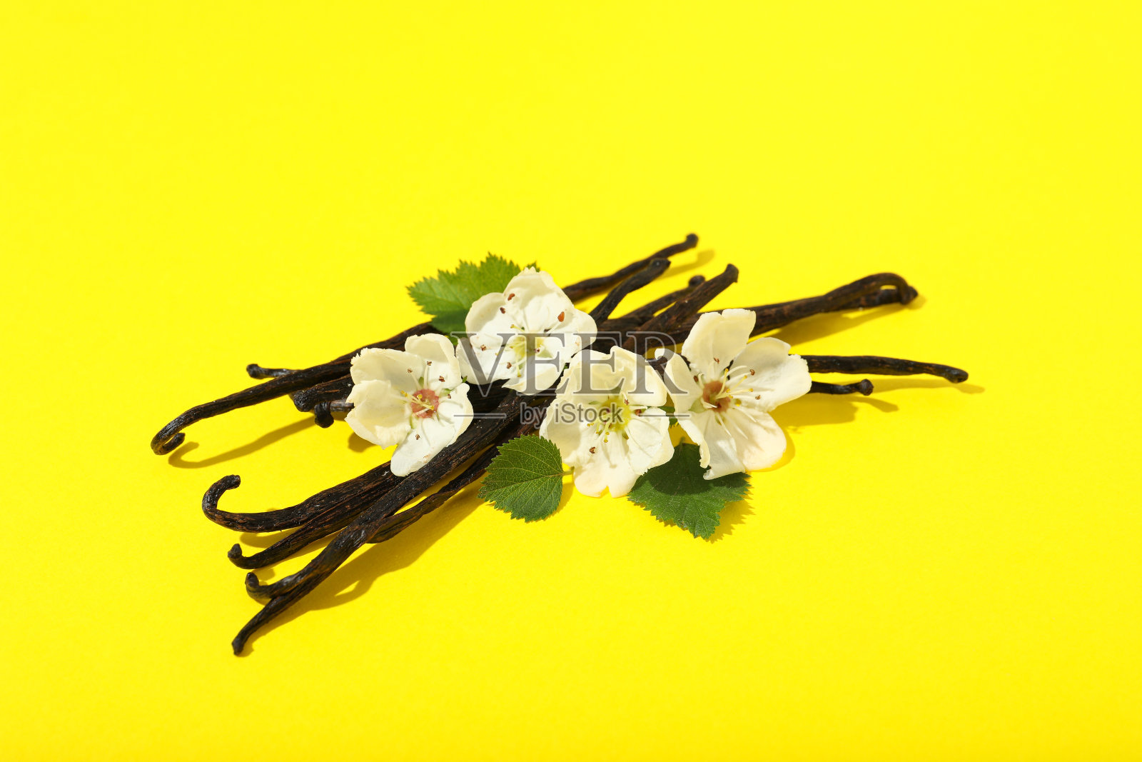 香草香精的芳香疗法概念照片摄影图片