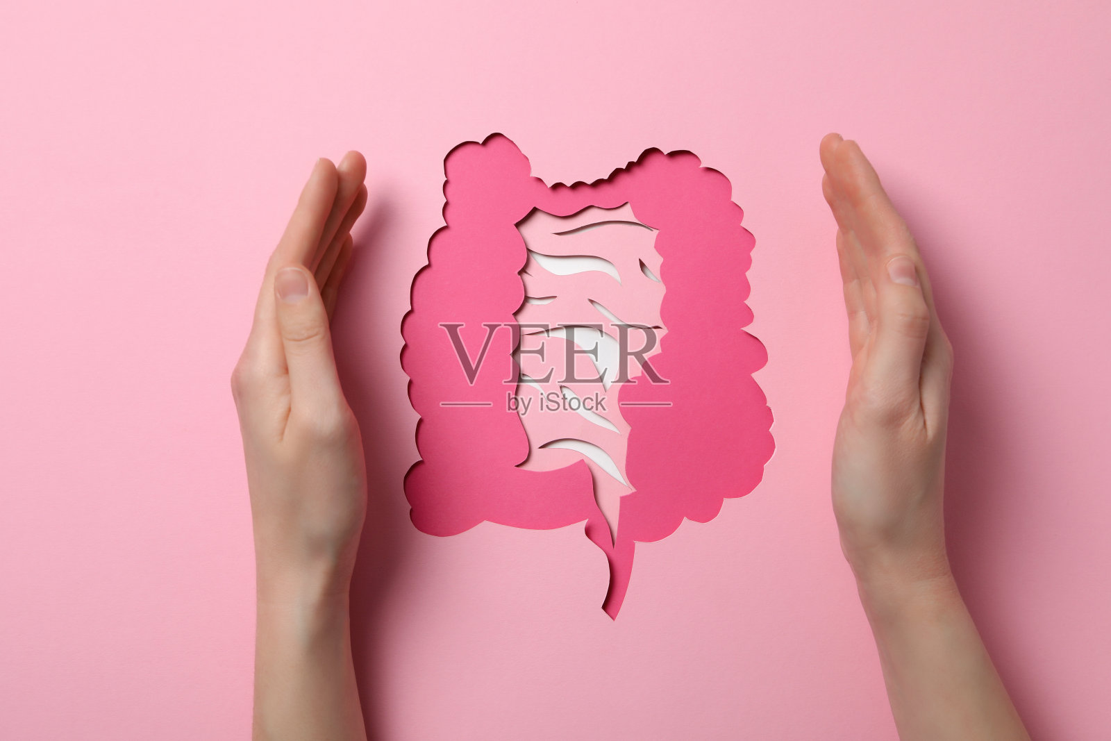 保健与内脏——肠道的概念照片摄影图片