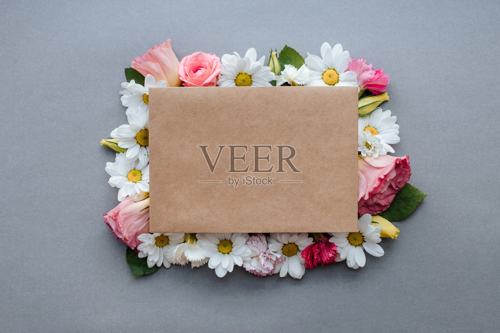 花照片摄影图片