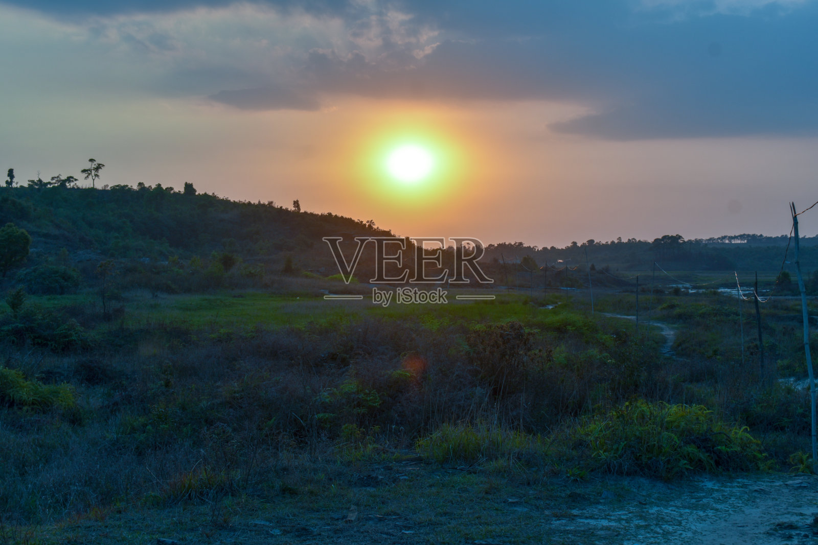 夕阳与绿色景观。照片摄影图片