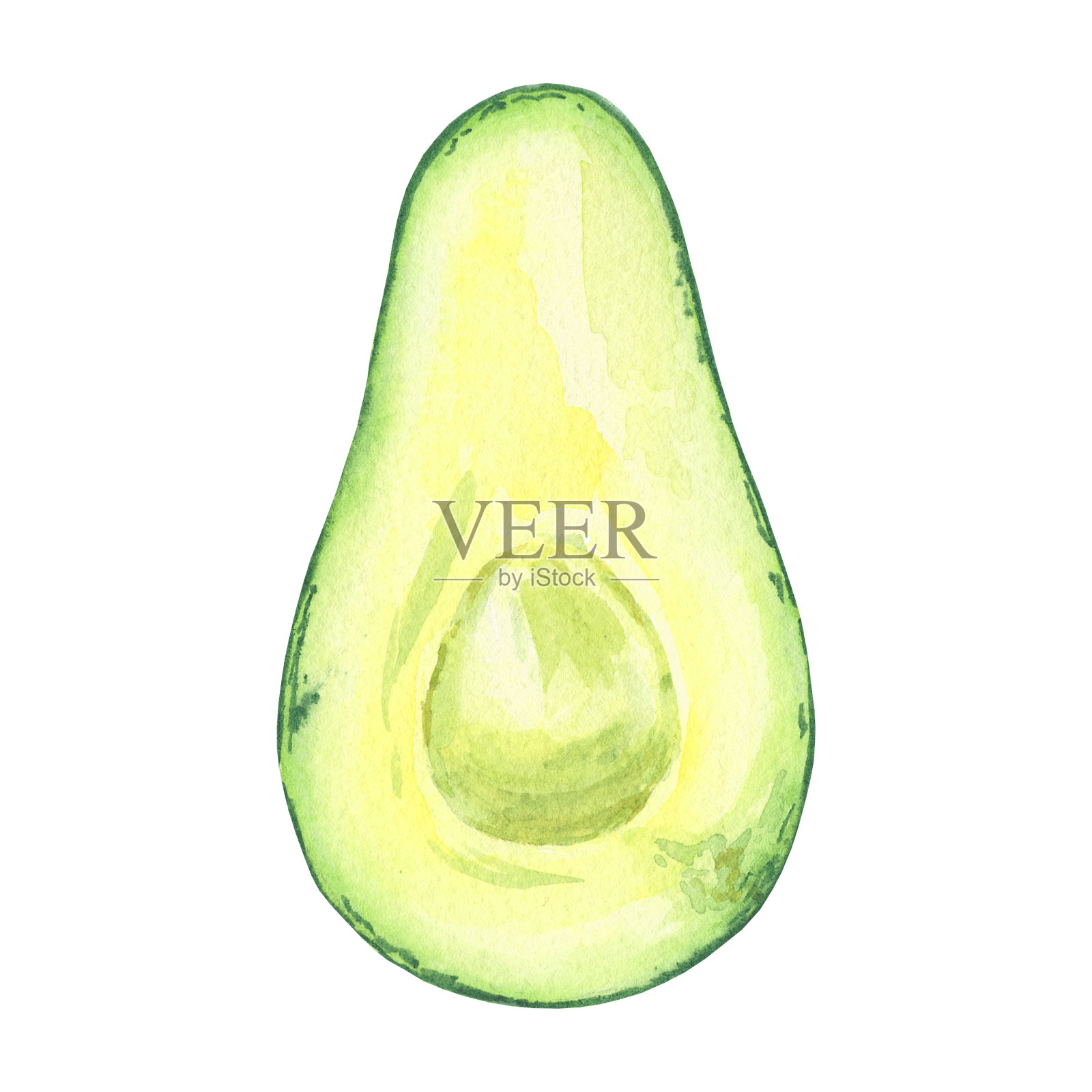 水彩鳄梨手指向植物风格/孤立的插图在白色背景设计菜单，卡片，壁纸，剪贴簿纸，包装插画图片素材