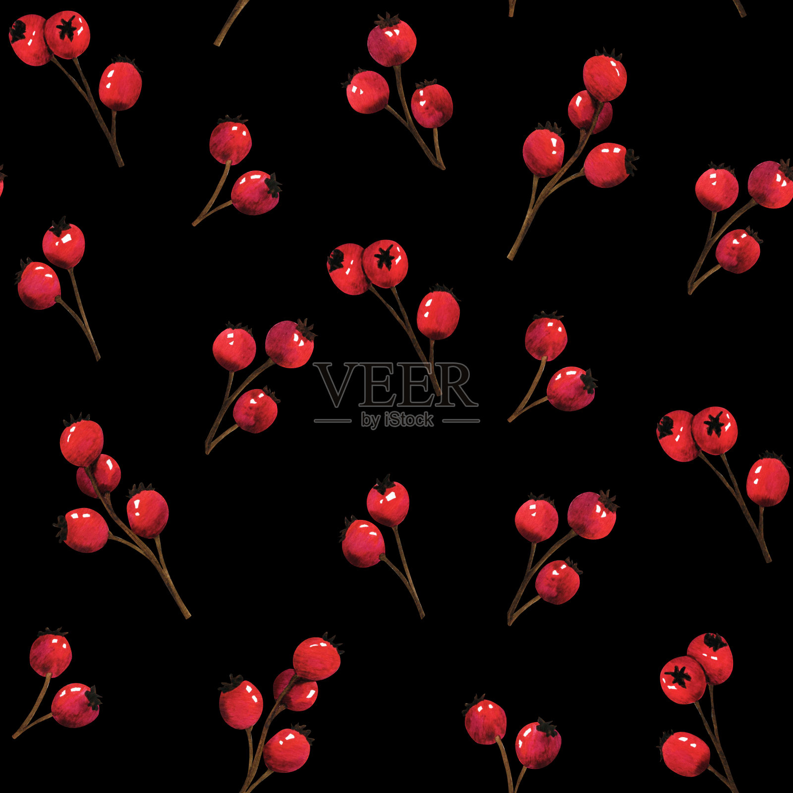 水彩无缝图案野生森林枝红莓，蔓越莓，蔓越莓，玫瑰果。自然森林草坪景观。野生景观生态自然插画。圣诞植物织物花饰插画图片素材
