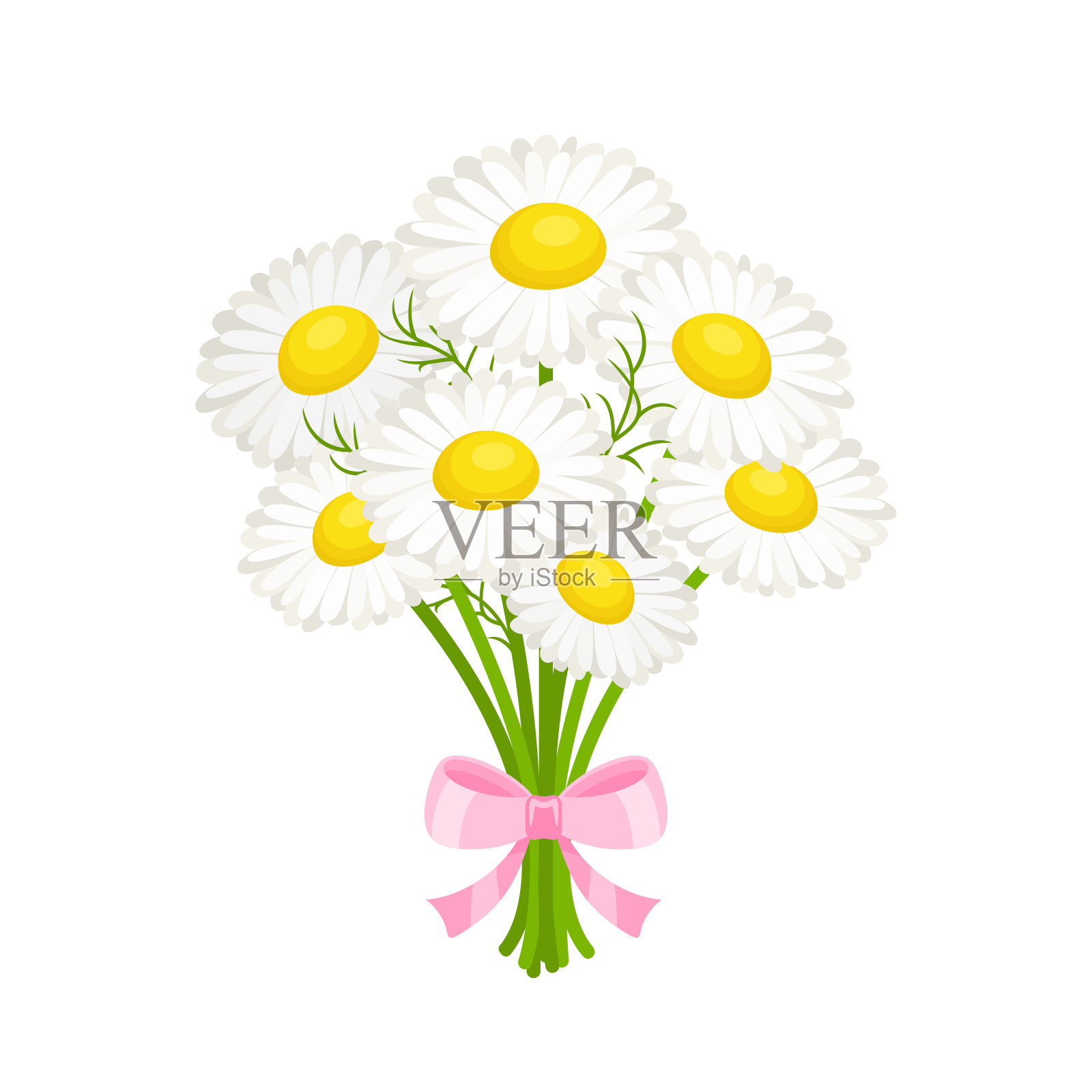 白色雏菊花束和粉色蝴蝶结。矢量卡通平面插图。花朵图标。插画图片素材