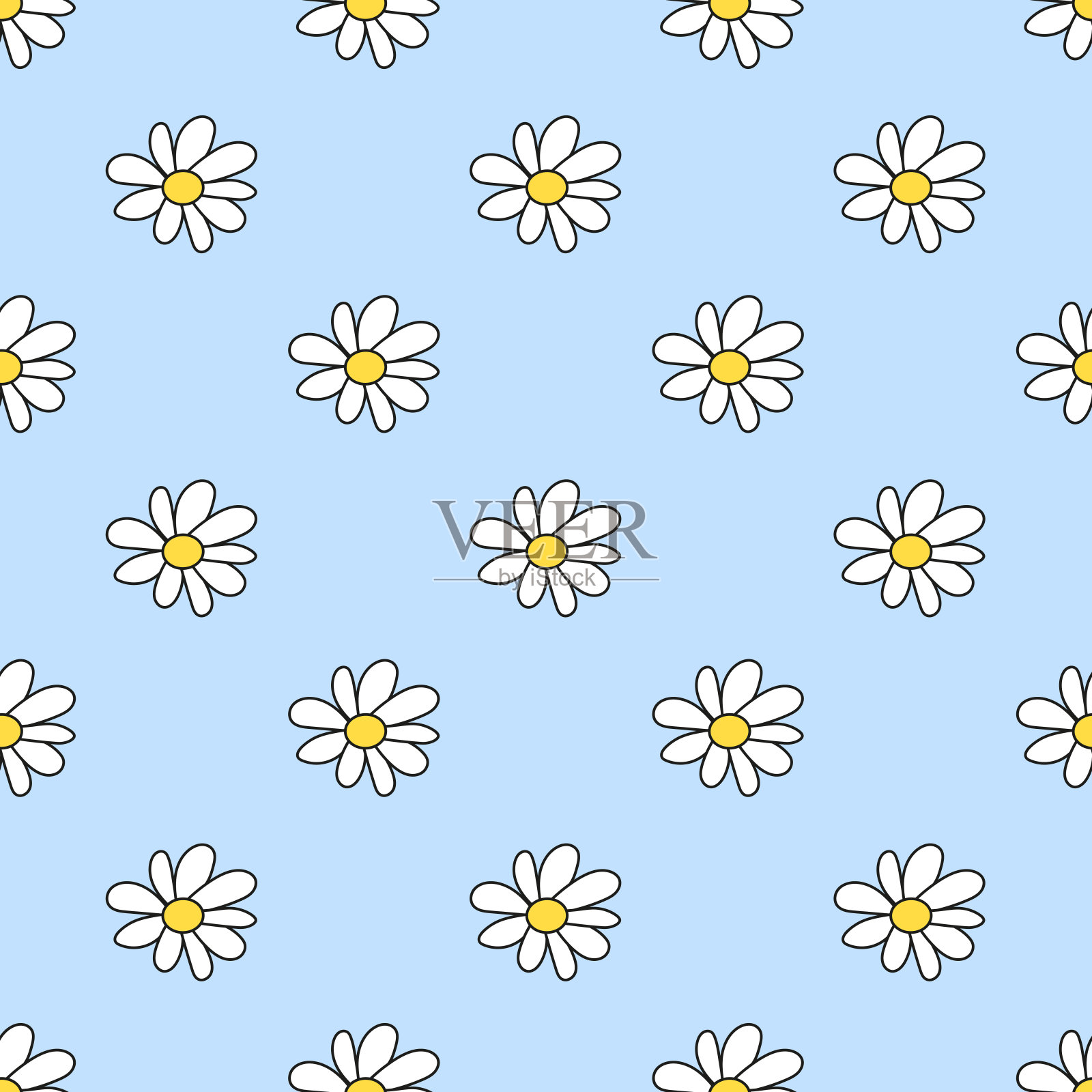 无缝图案与白色的花。菊花开花。洋甘菊。春夏花香背景。设计墙纸，包装纸，背景，织物。矢量平面插图。插画图片素材