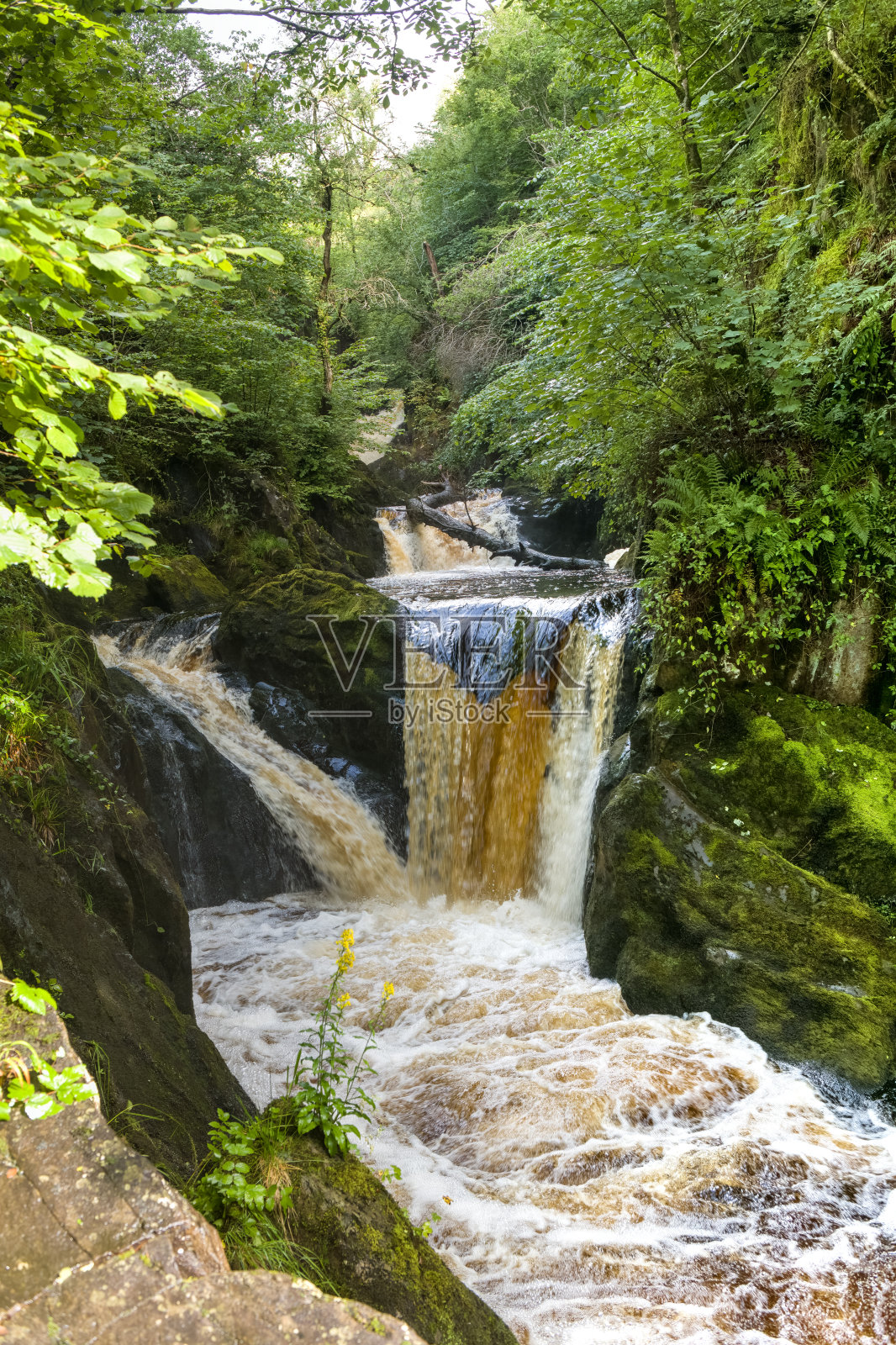 英国约克郡山谷国家公园的双瀑布倾泻入河中。照片摄影图片