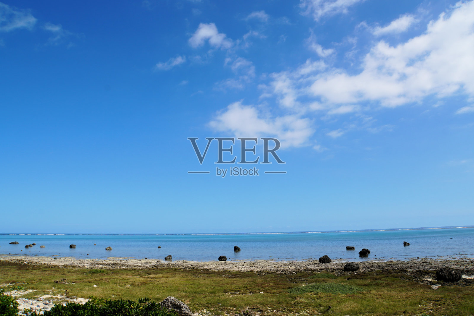 蓝天的白鹤海滩照片摄影图片