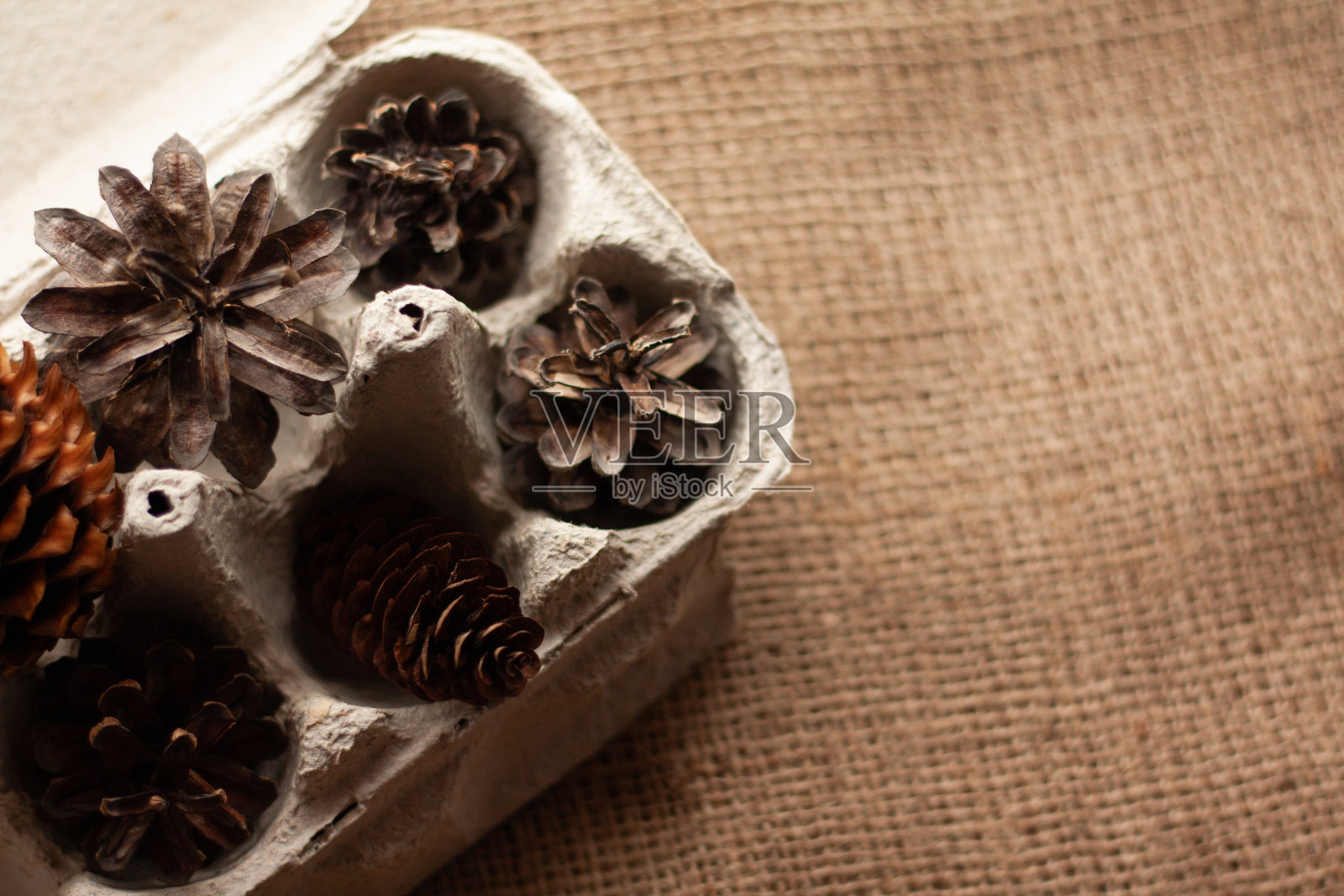 针叶球果在壁龛中的蛋盒，麻袋背景照片摄影图片