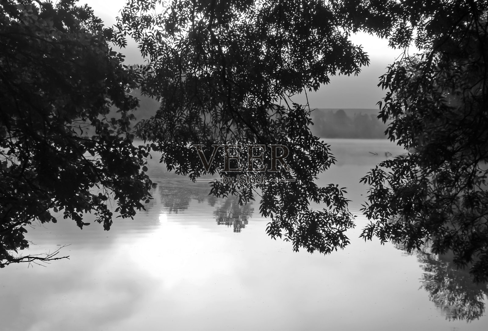 秋天的夕阳。照片摄影图片