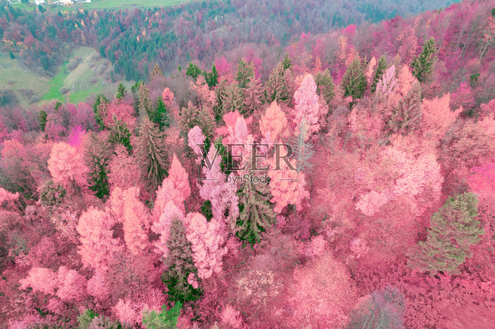 空中航拍:丘陵地区郁郁葱葱的森林，秋天的红外色调照片摄影图片