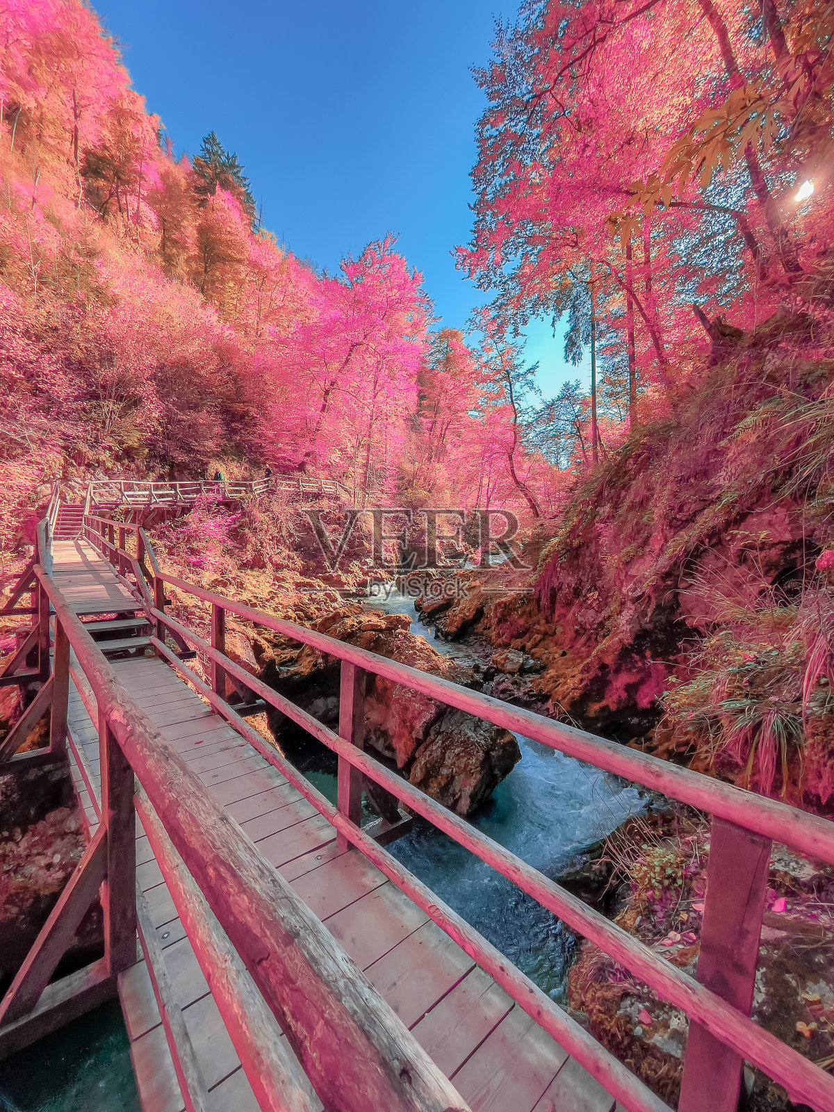 风景如画的Vintgar峡谷，有着神奇的红外色调的木制旅游小径照片摄影图片