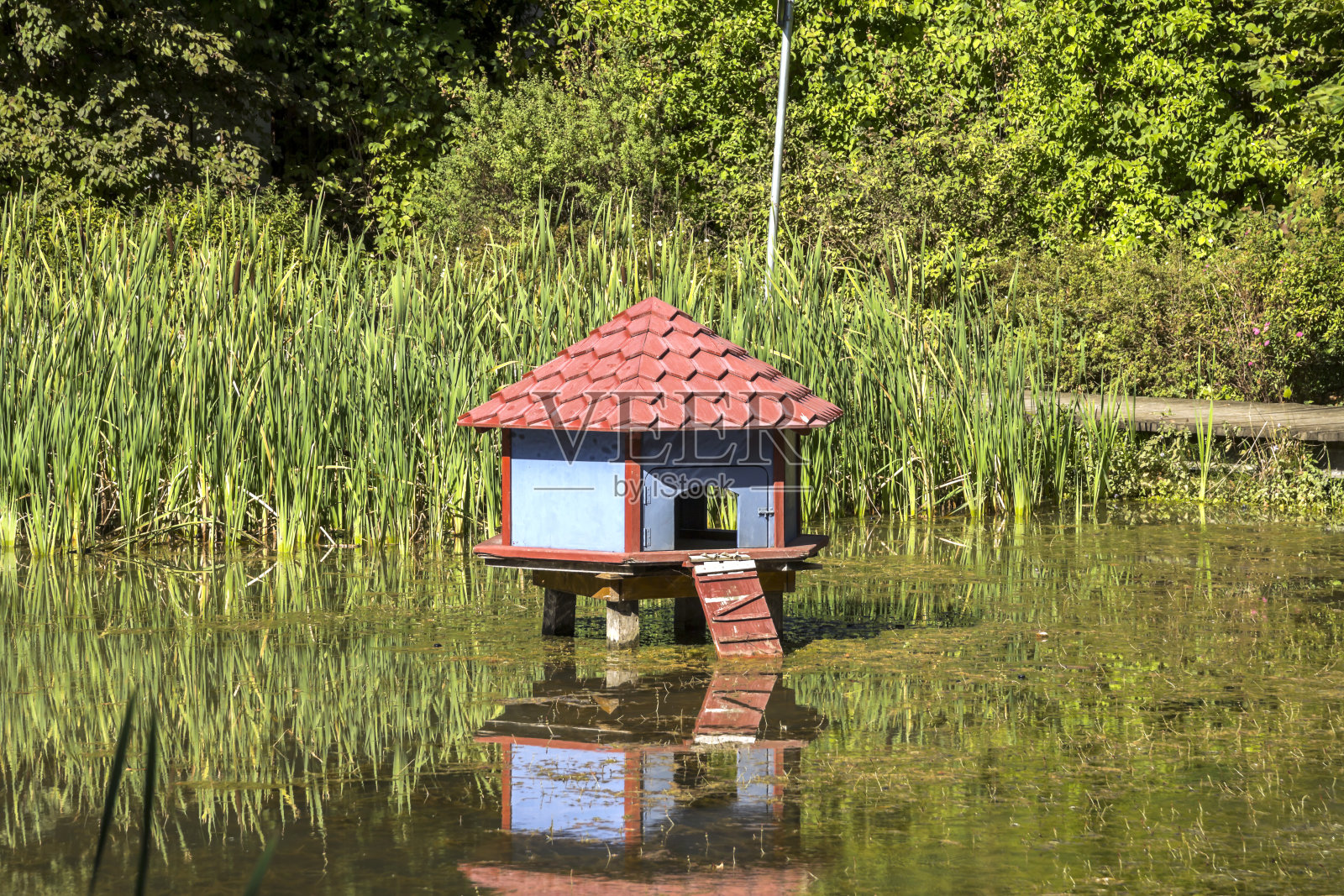 水上的鸟屋照片摄影图片