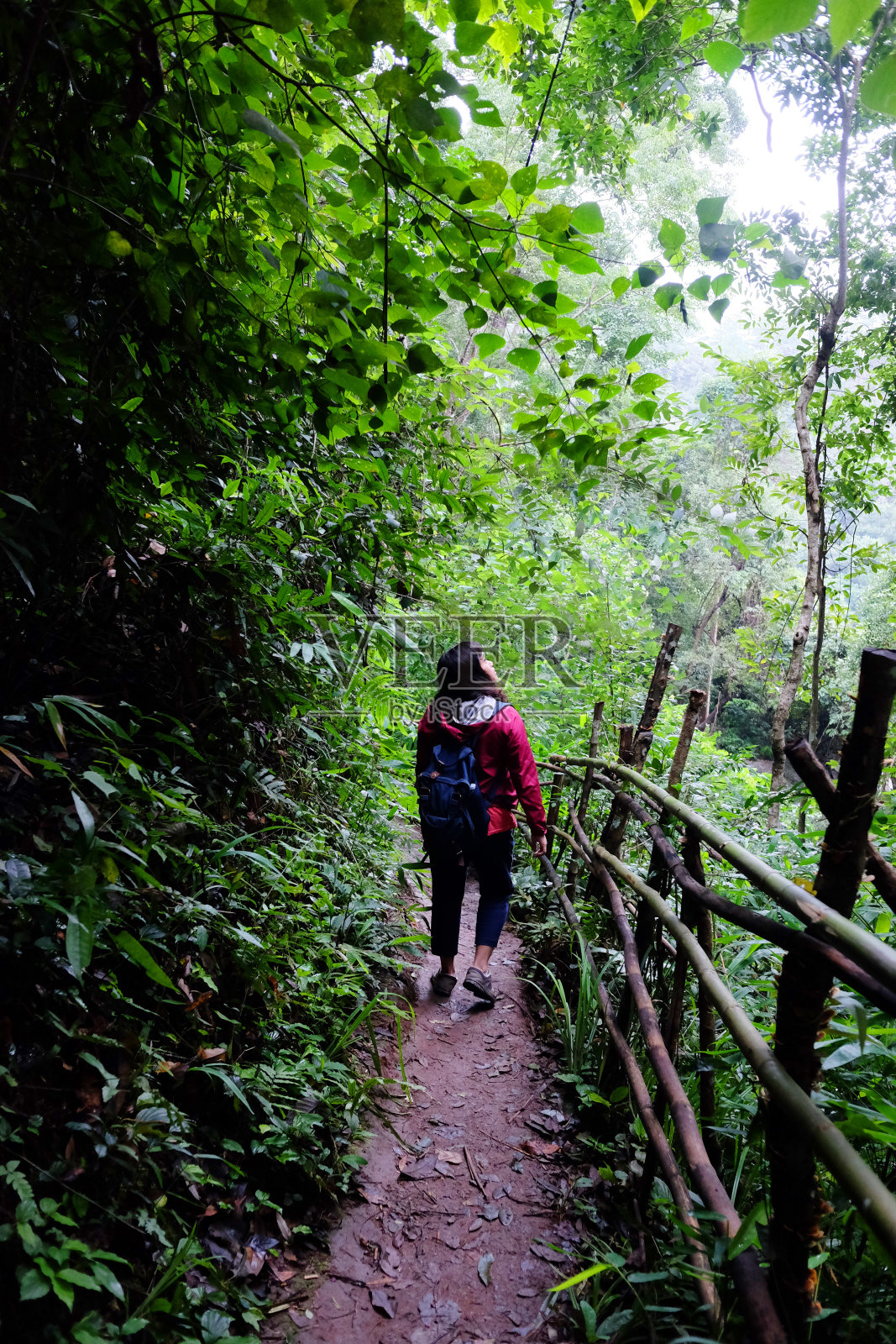 微笑的亚洲女子背包在泰国山区野生热带雨林的自然小径上散步和徒步旅行照片摄影图片