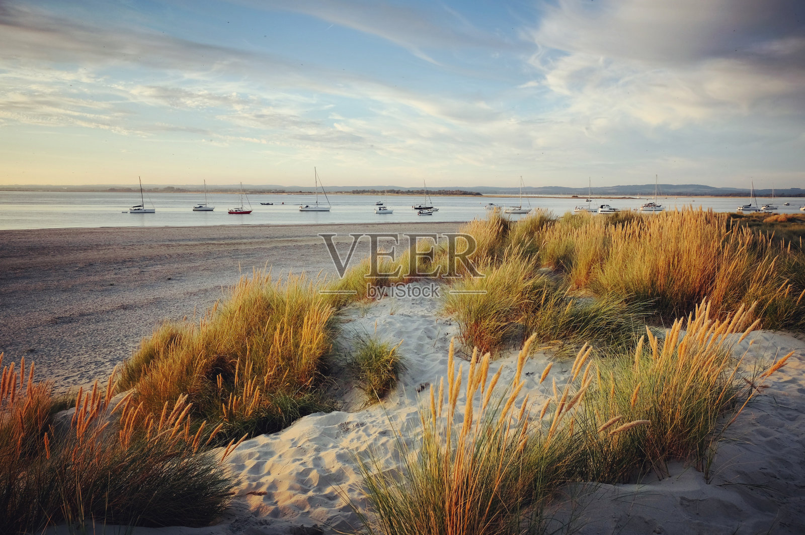 英国西苏塞克斯郡西维特林海滩东头的沙丘。照片摄影图片