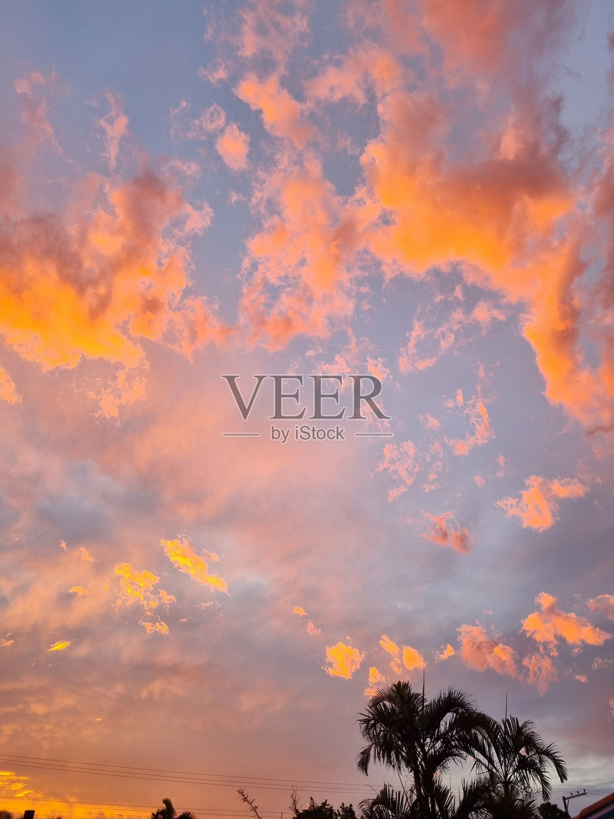 杰作照片摄影图片