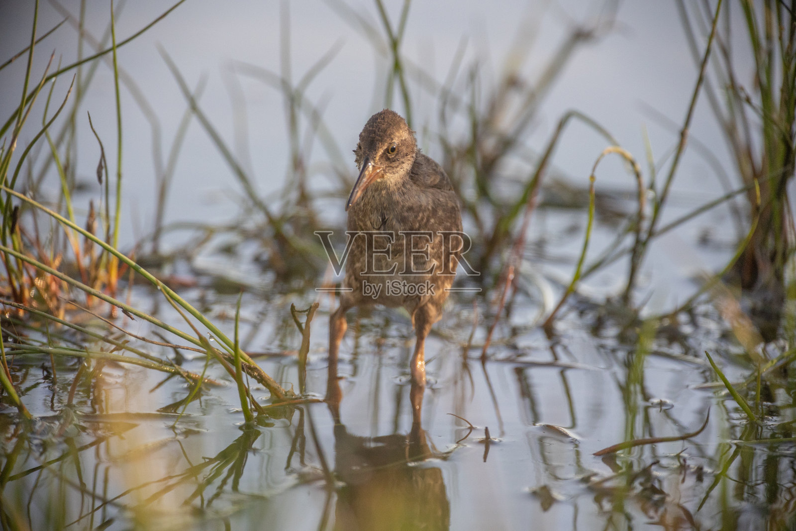 水铁路照片摄影图片