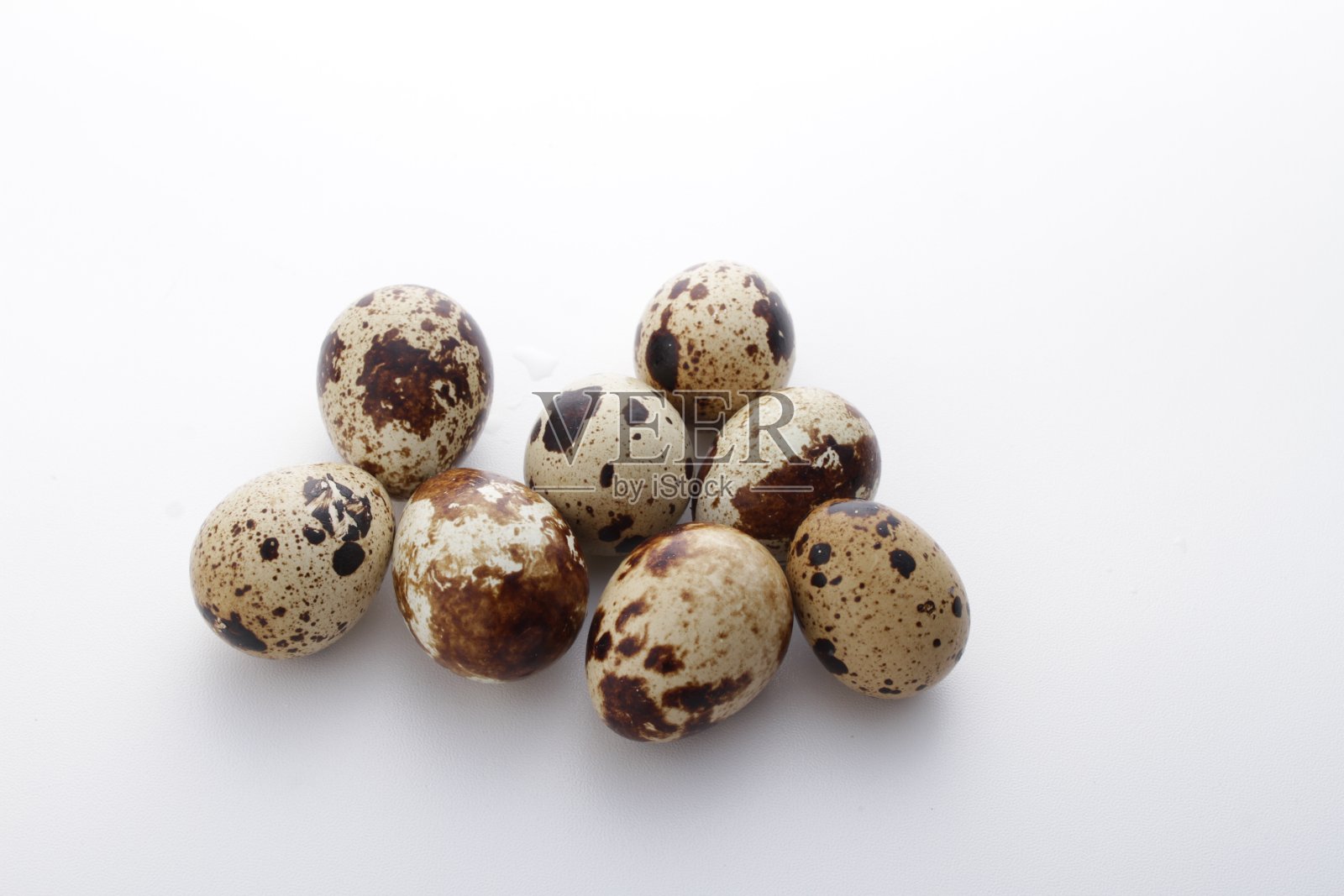 白底鹌鹑蛋照片摄影图片