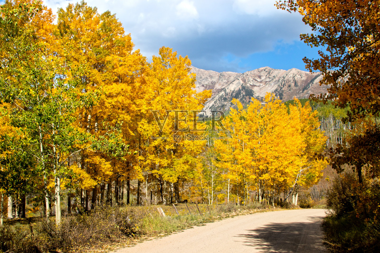 秋天的道路照片摄影图片