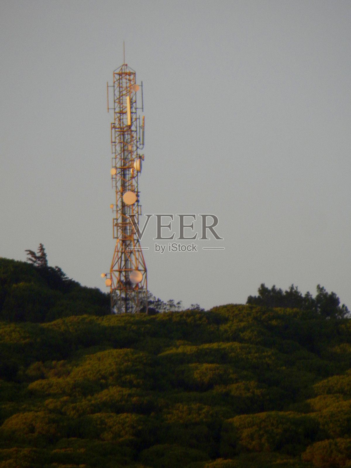 自然照片摄影图片