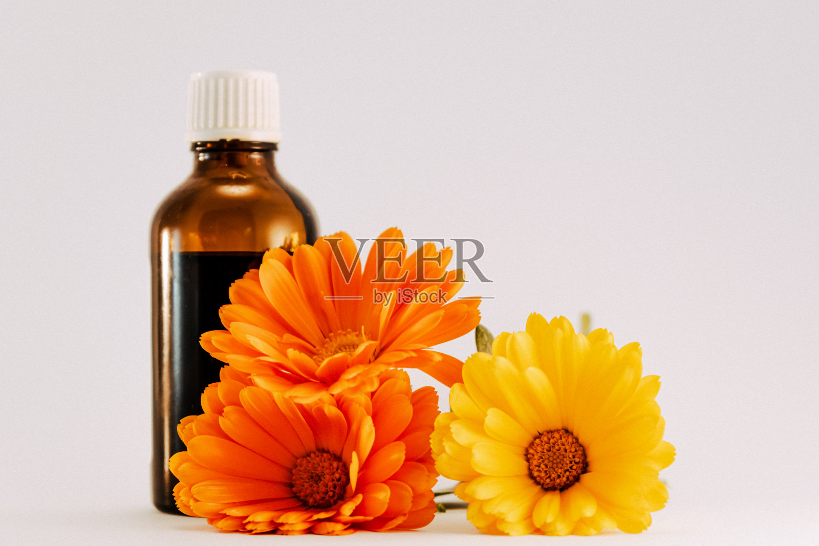 金盏菊花和白底油瓶，菊科，月苞照片摄影图片