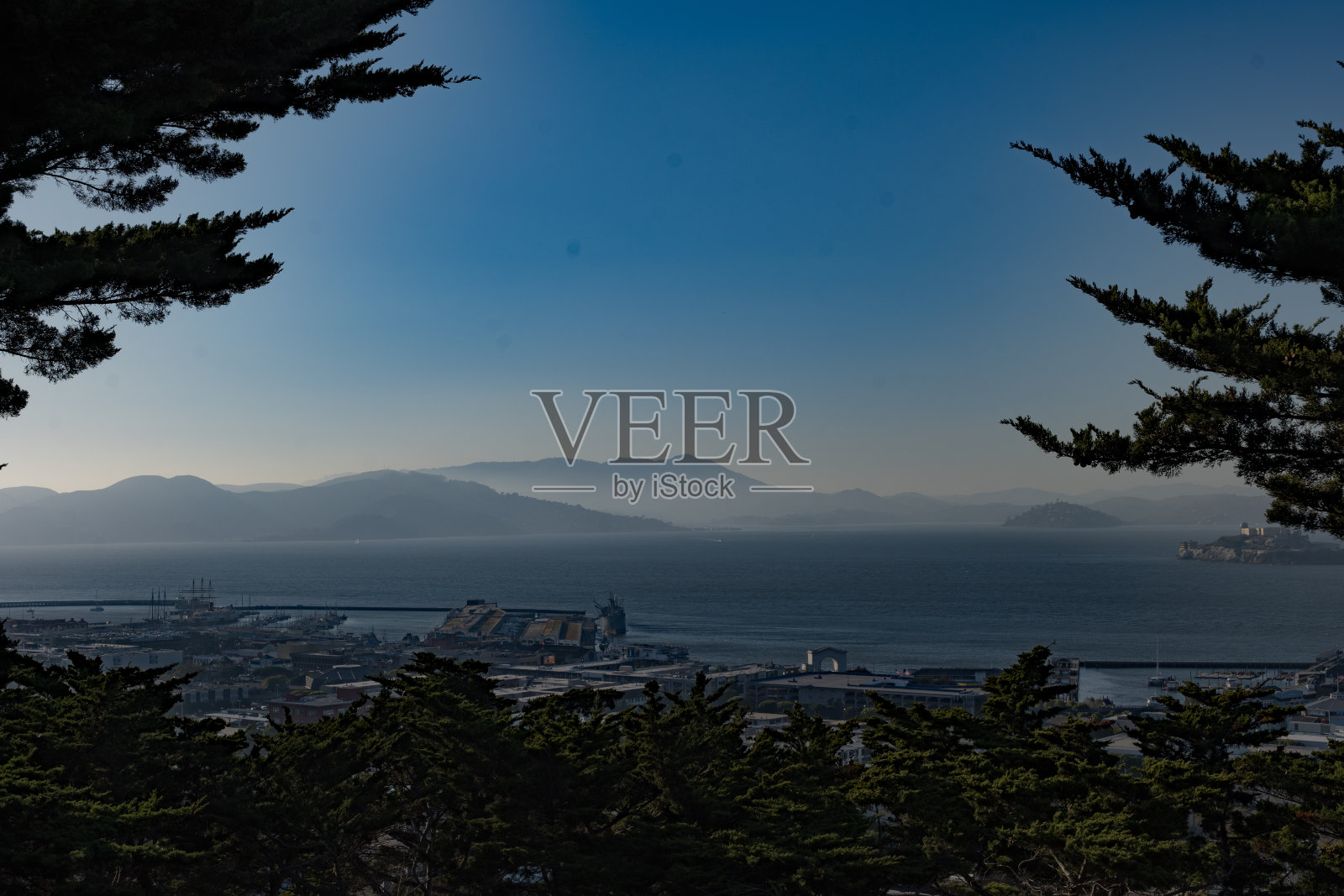 从柯尔特塔附近俯瞰旧金山湾的迷人树景照片摄影图片