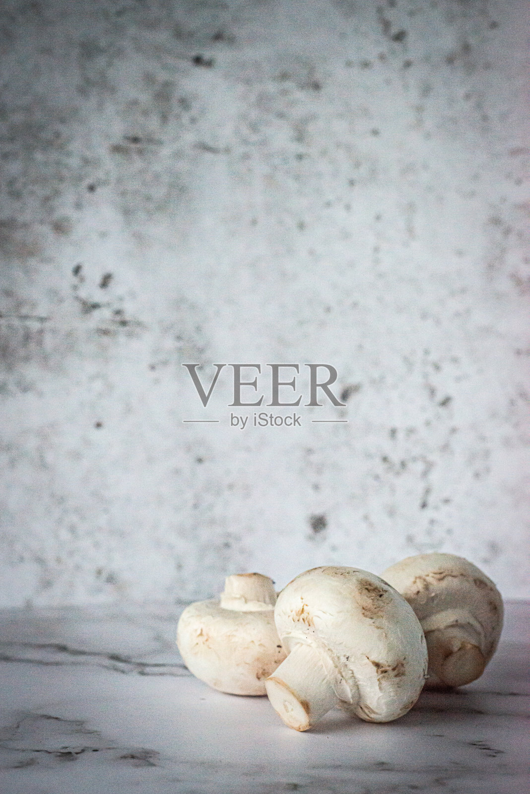 蘑菇照片摄影图片