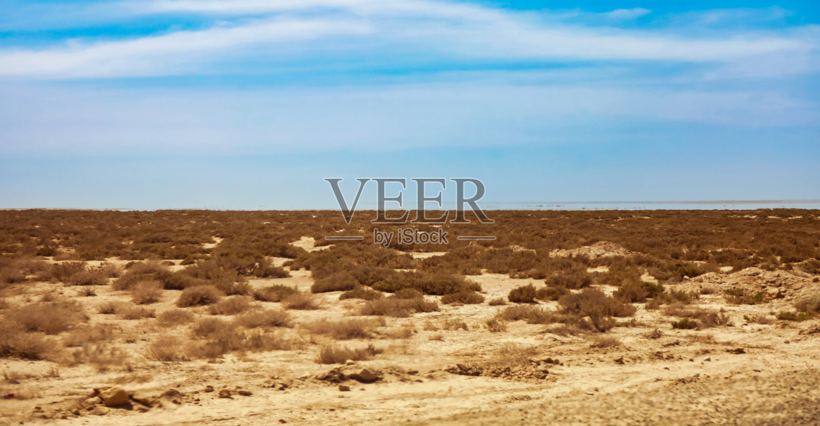 撒哈拉沙漠的自然背景与阳光明媚的沙丘，植被，景色全景。摄影沙漠沙山，蓝天。撒哈拉，托泽尔市，突尼斯，非洲。复制广告文本空间照片摄影图片