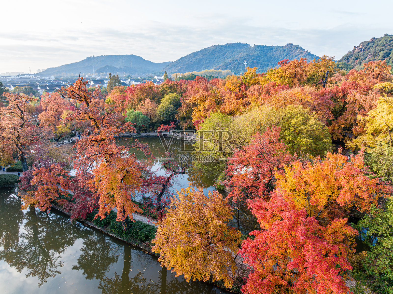 秋天枫林的航拍照片照片摄影图片